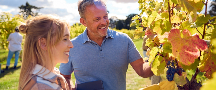 A smiling man and a woman look at grapes on a vine in a vineyard.