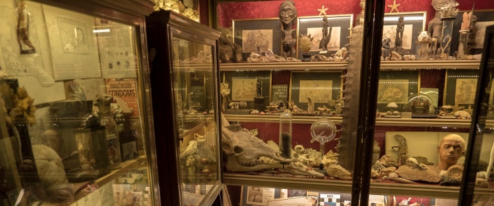 Interior of the Viktor Wynd Museum.