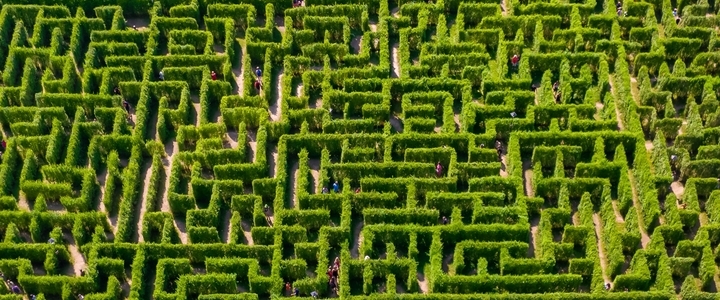A garden labyrinth.